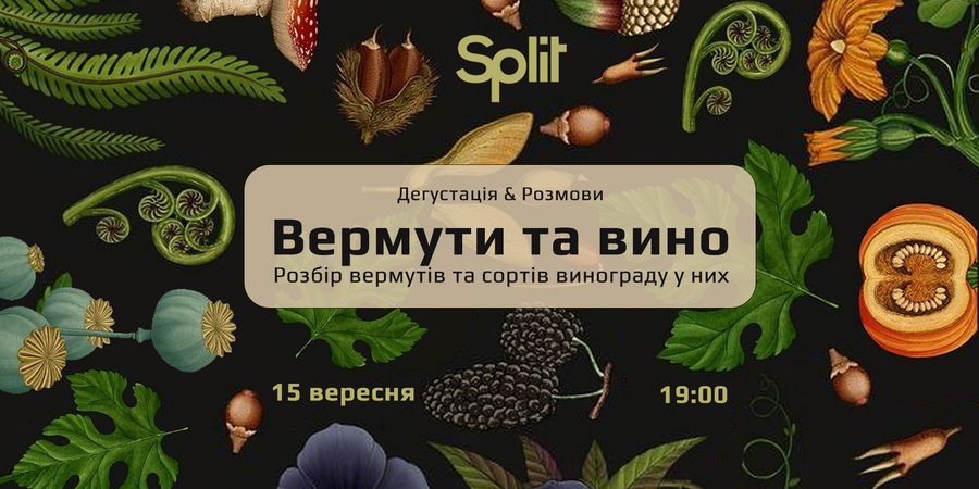 ВЕРМУТИ ТА ВИНО. Розбір вермутів та сортів винограду у них