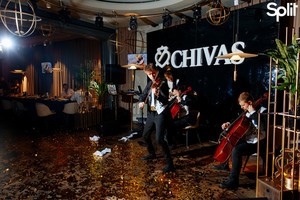 Gallery Chivas Cocktail Party: photo №58